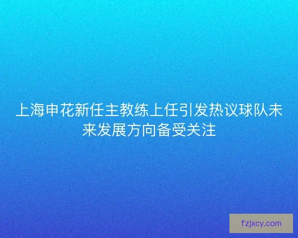 上海申花新任主教练上任引发热议球队未来发展方向备受关注 上海申花新任主教练上任引发热议球队未来发展方向备受关注