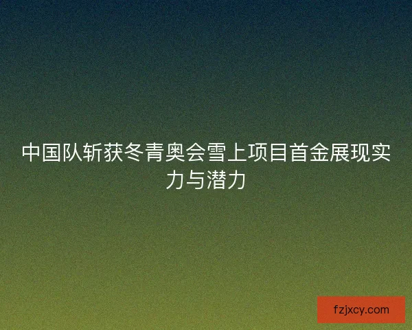 中国队斩获冬青奥会雪上项目首金展现实力与潜力 中国队斩获冬青奥会雪上项目首金展现实力与潜力